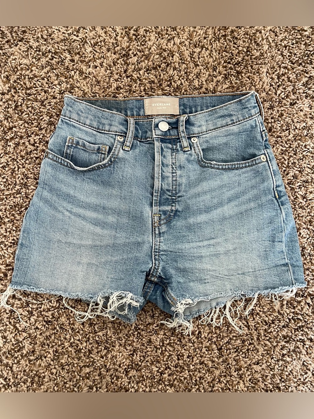 Everlane Cheeky Short High Rise Distressed Raw Hem Blue Women's 24 Button Fly